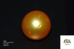 Golden South Sea Pearl (Moti) 7.89 Carat (8.67 Ratti) - Image 2