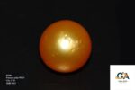 Golden South Sea Pearl (Moti) 7.89 Carat (8.67 Ratti) - Image 3