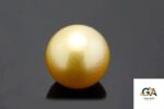 Golden South Sea Pearl (Moti) 7.64 Carat (8.40 Ratti) - Image 2