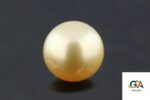 Golden South Sea Pearl (Moti) 12.05 Carat (13.25 Ratti) - Image 2