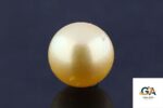 Golden South Sea Pearl (Moti) 11.36 Carat (12.50 Ratti) - Image 2