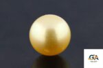 Golden South Sea Pearl (Moti) 11.36 Carat (12.50 Ratti) - Image 3