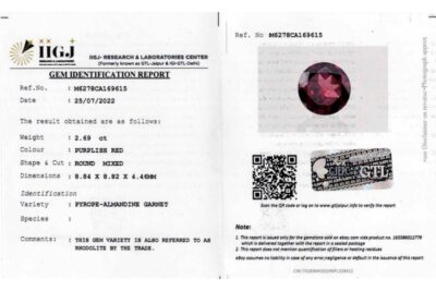 Rhodolite Garnet 2.69 Carat (2.95Ratti)