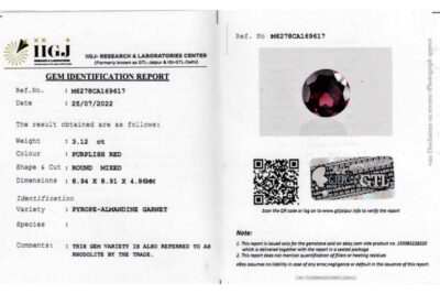 Rhodolite Garnet 3.12 Carat (3.43Ratti)