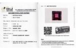 Rhodolite Garnet 3.66 Carat (4.02Ratti) - Image 2