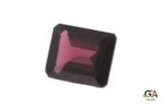 Rhodolite Garnet 3.45Carat (3.79Ratti) - Image 4