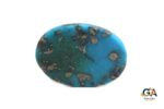 Turquoise (Firoza) 11.31 Carat (12.44 Ratti) - Image 2
