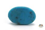 Turquoise (Firoza) 22.76Carat (25.03Ratti) - Image 2