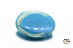 Turquoise (Firoza) 10.51 Carat (11.68 Ratti) - Image 3