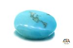 Turquoise (Firoza) 12.22 Carat (13.58 Ratti) - Image 4
