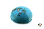 Turquoise (Firoza) 12.70 Carat (14.11 Ratti) - Image 3