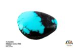 Turquoise (Firoza) 11.81 Carat (13 Ratti) - Image 3