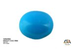 Turquoise (Firoza) 7.42 Carat (8.16 Ratti) - Image 3