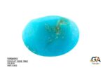 Turquoise (Firoza) 8.93 Carat (9.82 Ratti) - Image 3