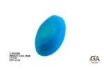 Turquoise (Firoza) 9.48 Carat (10.42 Ratti) - Image 3
