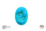 Turquoise (Firoza) 7.11 Carat (7.82 Ratti) - Image 3