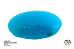 Turquoise (Firoza) 7.11 Carat (7.82 Ratti) - Image 4