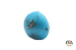 Turquoise (Firoza) 16.32Carat (17.95Ratti) - Image 4