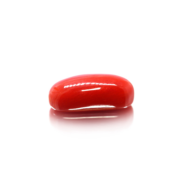 CL138 (1) Red Coral (Moonga) 5.39 Carat (5.93 Ratti) - Image 1