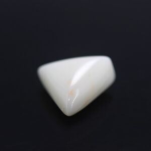 Natural White Coral 7.20 Carat (7.92 Ratti)