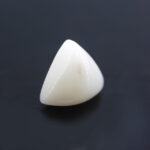 Natural White Coral 7.20 Carat (7.92 Ratti) - Image 3