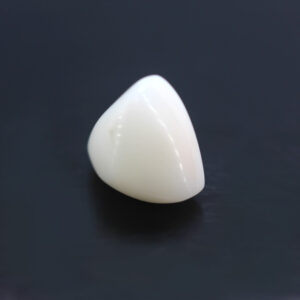 Natural White Coral 7.20 Carat (7.92 Ratti)