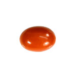 Natural Japanese Coral 5.28 Carat (5.81 Ratti) Moonga - Image 4