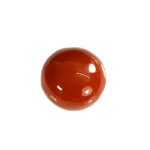 Natural Japanese Coral 11.76 Carat (12.94 Ratti) Moonga