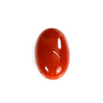 Natural Japanese Coral 8.29 Carat (9.12 Ratti) Moonga