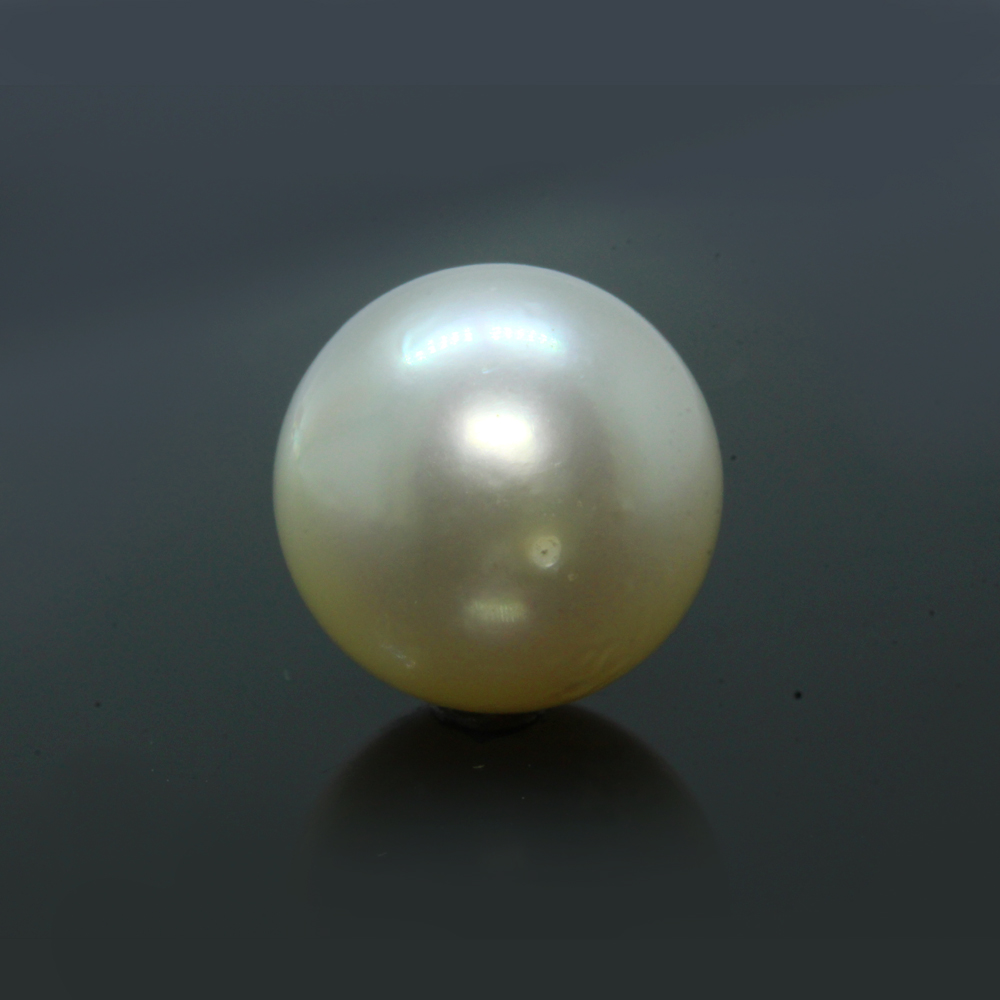 PRL173 (1) South Sea Pearl (Moti) 10.17 Carat (11.19 Ratti) - Image 1
