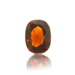 GAHG95