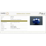 GABS220
