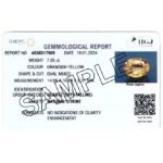 IIGJ CERTIFICATE