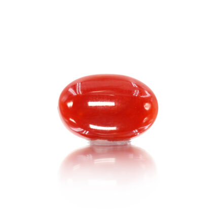 GAJCL40