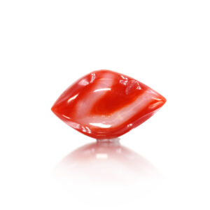 Japanese Coral 11.65 Carat (12.82 Ratti Moonga)