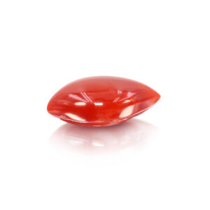 Japanese Coral 11.65 Carat (12.82 Ratti Moonga)