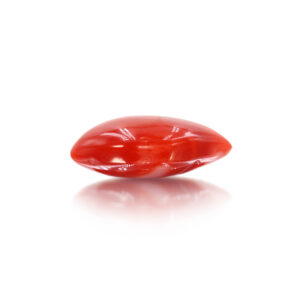 Japanese Coral 11.65 Carat (12.82 Ratti Moonga)