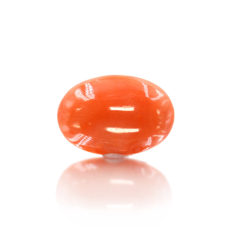 Japanese Coral 10.30 Carat (11.33 Ratti Moonga)