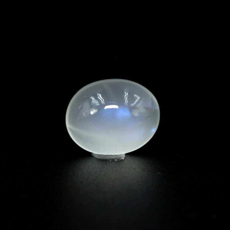 GABMS20