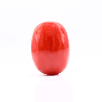 CL231