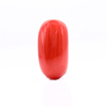 CL232
