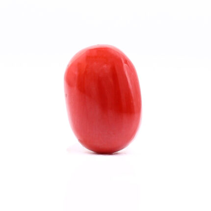 CL234