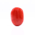 CL234