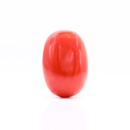 CL236