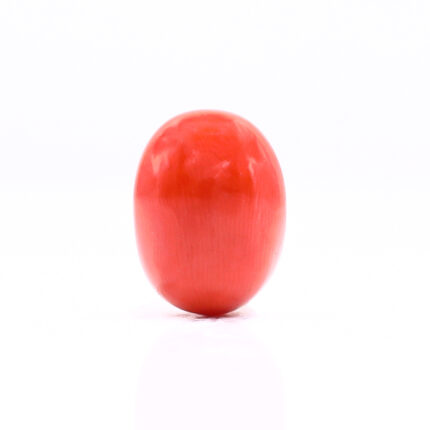 CL238