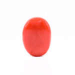 CL238