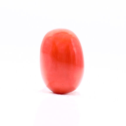 CL240