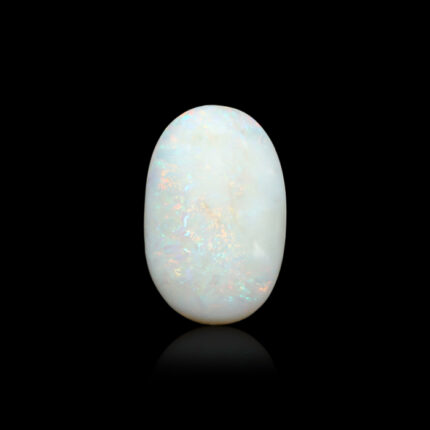 OP254