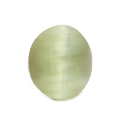 CE25