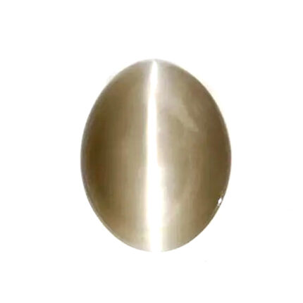 CE8